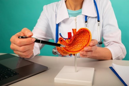 gastrointestinal mucosal repair study