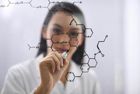 collagen organization research model